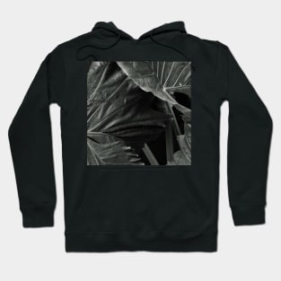 Black Leaves Hoodie